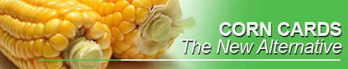 Corn Cards